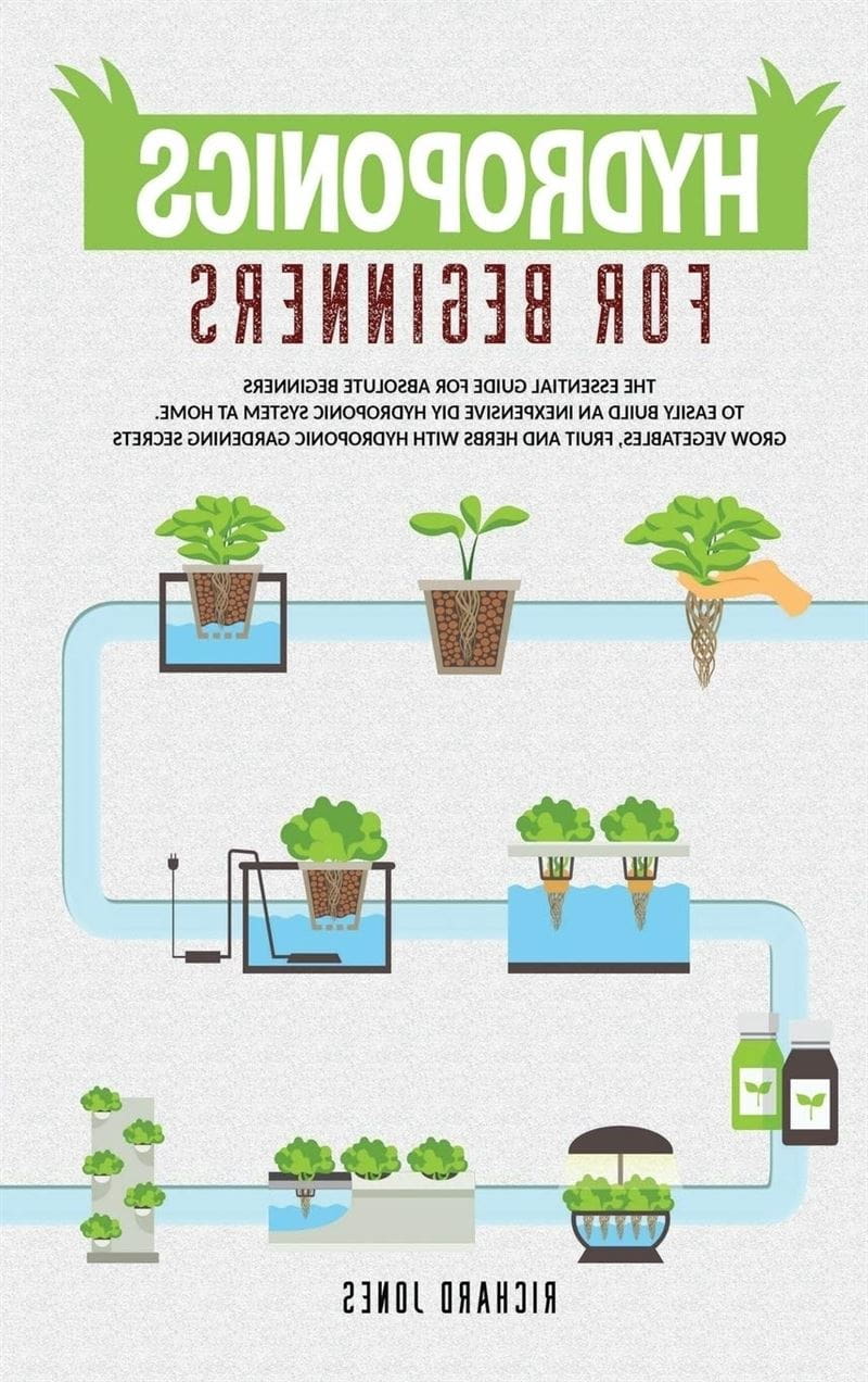 Hydroponics For Beginners: The Essential Guide For Absolute Beginners To  Easily Build An Inexpensive DIY Hydroponic System At Home. Grow Vegetables,  ... Gardening Secrets (Gardening Bliss): Jones, Richard: 9781914098048:  Amazon.com: Books