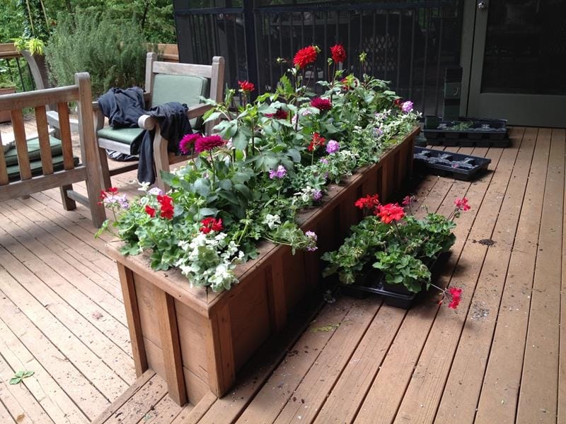 Ideas for Spring Planter Boxes and Pots - ThurstonTalk