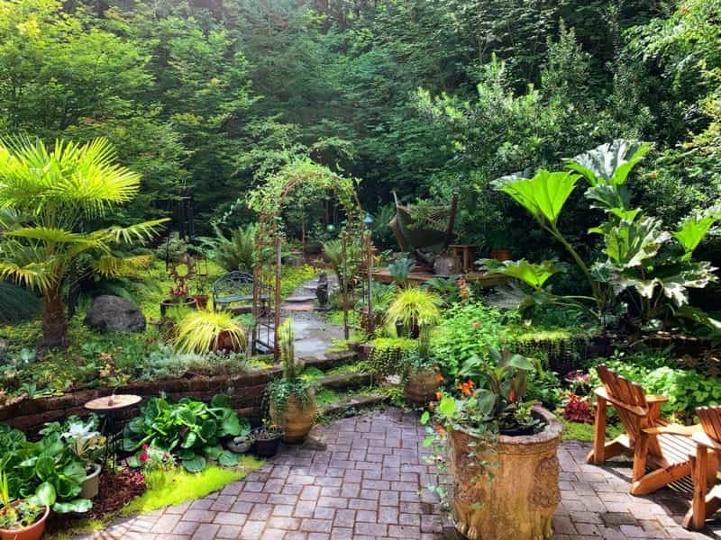 Ideas for a Tropical Garden