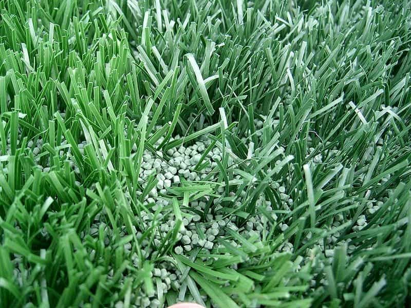 Jubilee Premium Lawn Seed - 0.9kg - Lawn  Grass Seed - TurfOnline