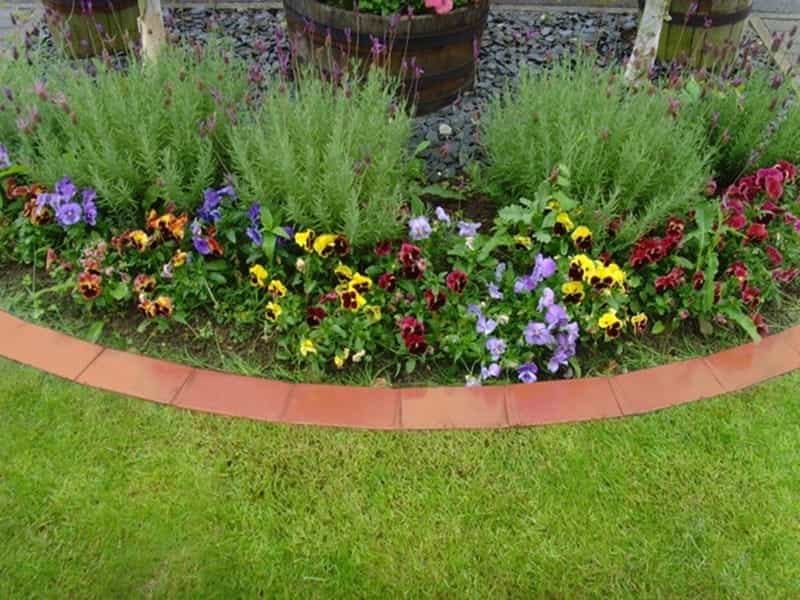 Lawn Border Edging Ideas - Ideas for Lawn Edging - Homebase