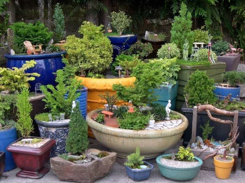 Love your pots! 25 inspiring  practical ideas for container gardens - The  Middle-Sized Garden - Gardening Blog