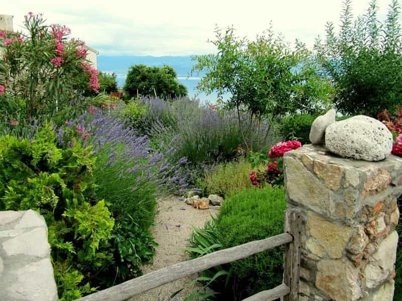 Mediterranean Garden Designer