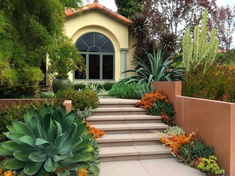 Mediterranean gardens: design ideas and planting tips for a bright display  - Real Homes