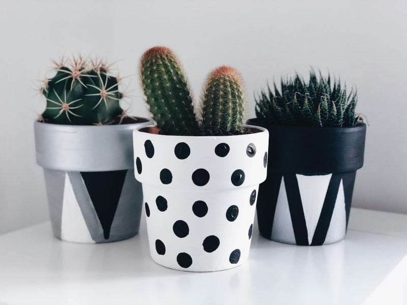 Modern-Mini-Painted-Plant-Pots – The Daily Crisp
