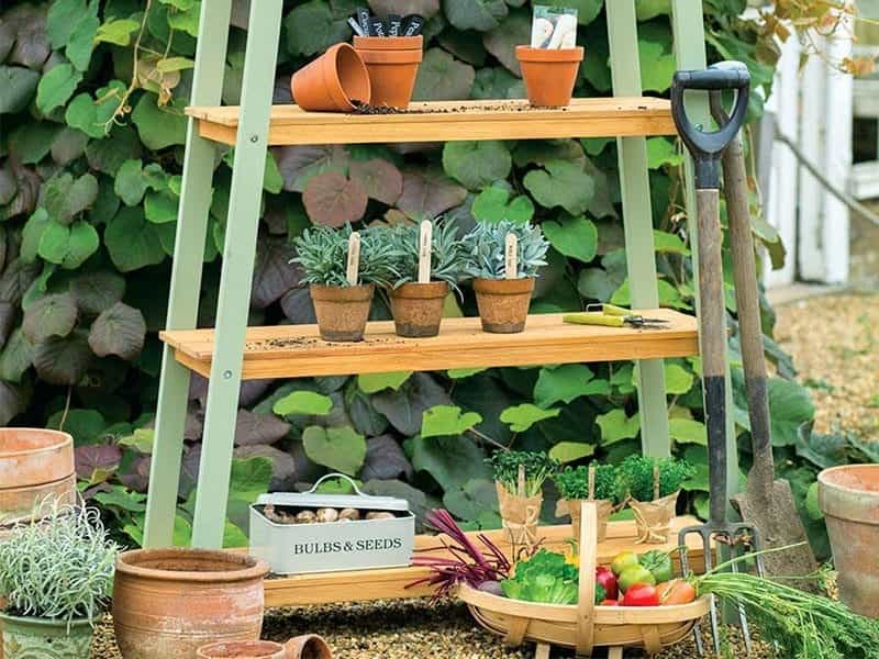 Modern Plant Shelf Ideas For Small Space - Engineering Discoveries