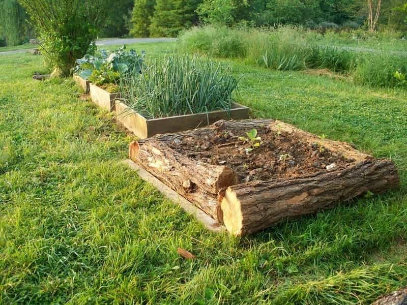 Natural Cedar U-Shaped Raised Garden Beds - Eartheasy.com