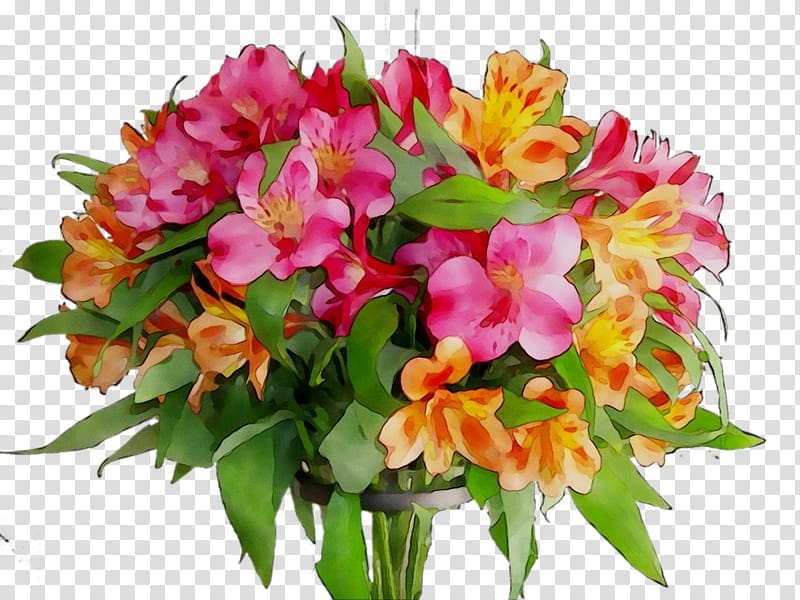 Pink Alstroemeria Flowers by Close Up.Peruvian Lily.Decoration Concept  Stock Image - Image of bright, peruvian: 182312487