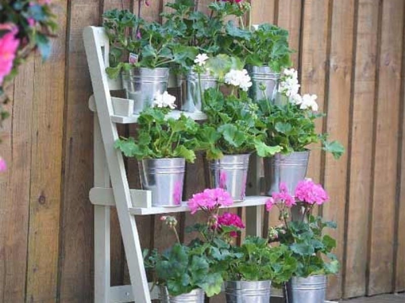 Plant Wall Shelf Ideas {Plant Display Tips!} – Love  Renovations