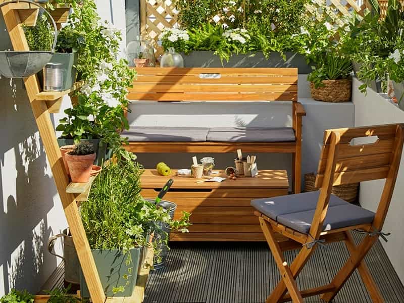 Plants for Your Patio - HGTV