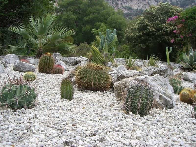 Projecten - Vertus - Gravel garden, Garden design, Japanese garden design