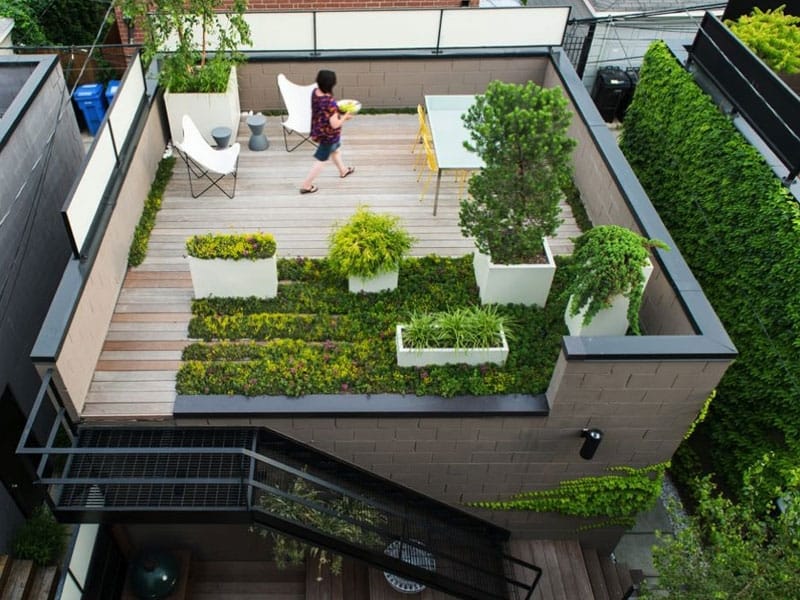 Rooftop garden, Urban garden, Modern garden