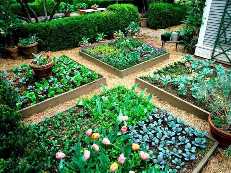 Small square garden design ideas - YouTube
