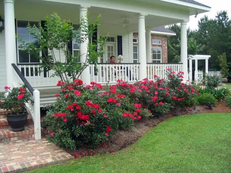 Stunning Front Door Flower Pots [11 Fabulous Ideas]