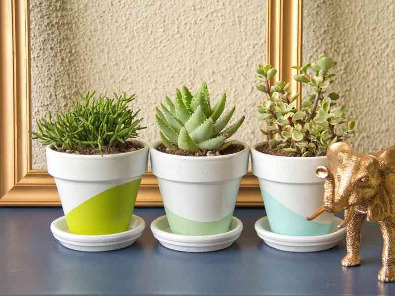 The Secret to Gorgeous Plant Pots (The Forever Home Project) - Modern  Parents Messy Kids