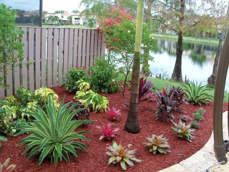 The Top 54 Tropical Garden Ideas