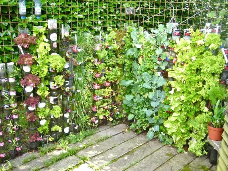 Think Green: 20 Vertical Garden Ideas