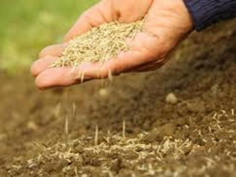 Tipperary Grass Seed - Agricultural Grass Seed - Agritech