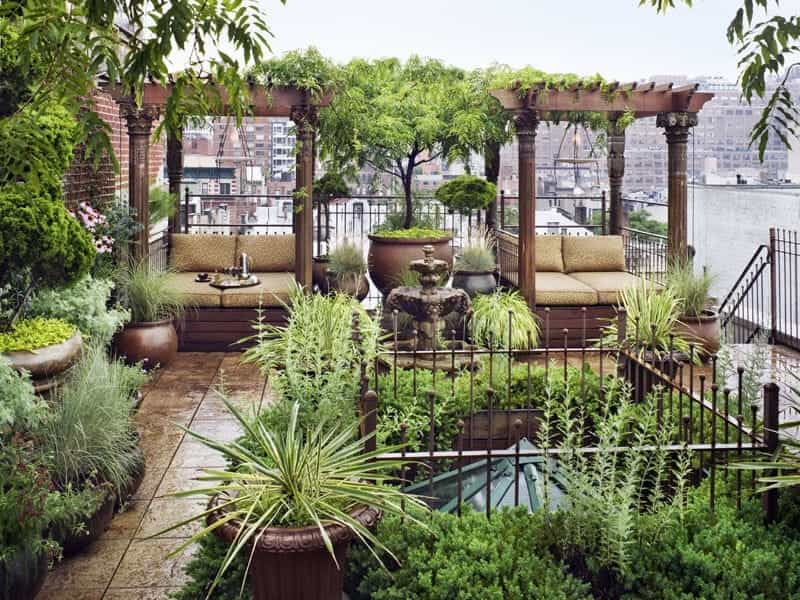Tips on rooftop gardening for your home - Graana.com Blog