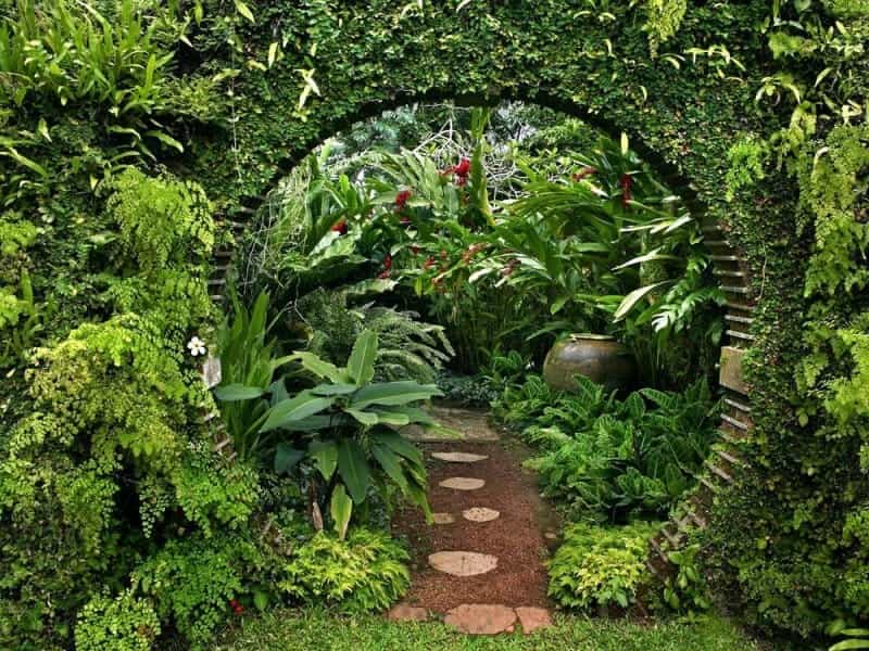 Tropical Garden Design for Colder Climates - Horticulture