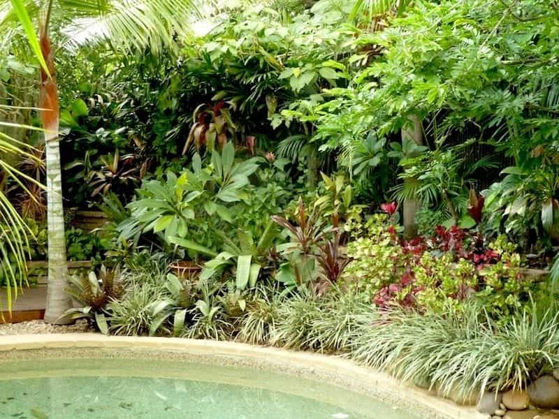 Tropical Landscaping Design Ideas - HGTV