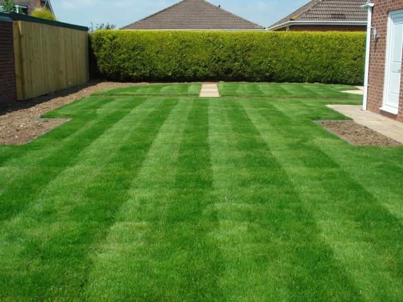 Turf Supplier in Kent - Delivery  Collection Available - Corker