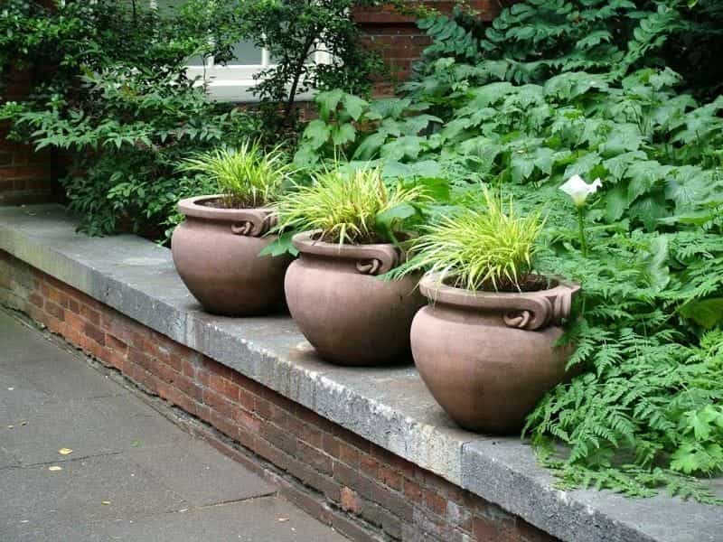 Unique Container Ideas for Garden Planting - Sanctuary Home Decor