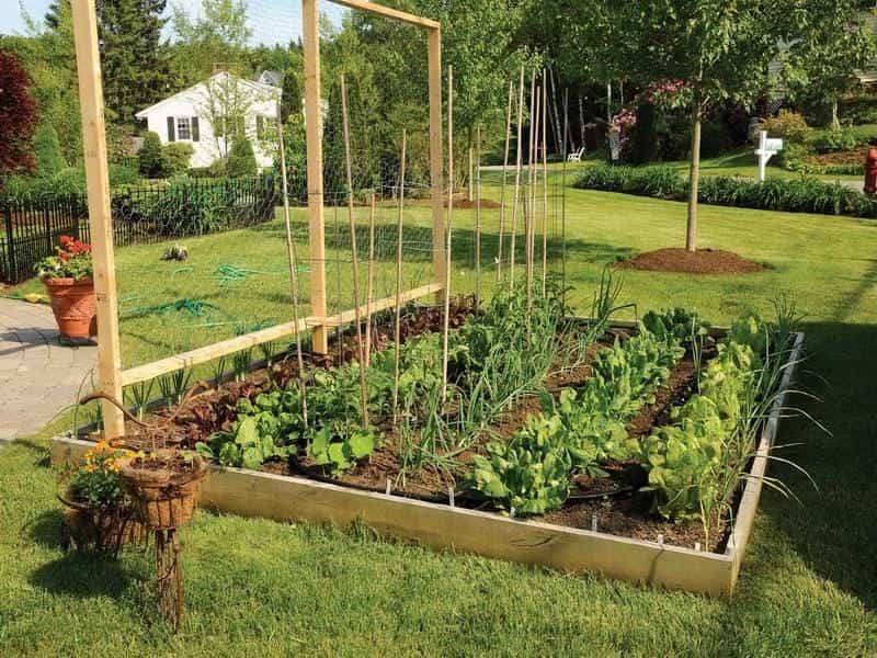 Unique Raised Garden Beds for Your Yard - A Blissful Nest