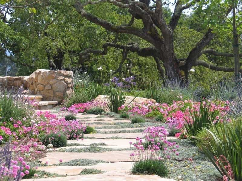 Urban Garden Design - Fern  Pine Garden Design Studio