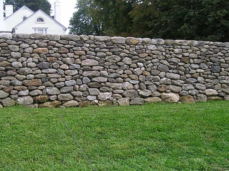 Wall germander - Inland Valley Garden Planner