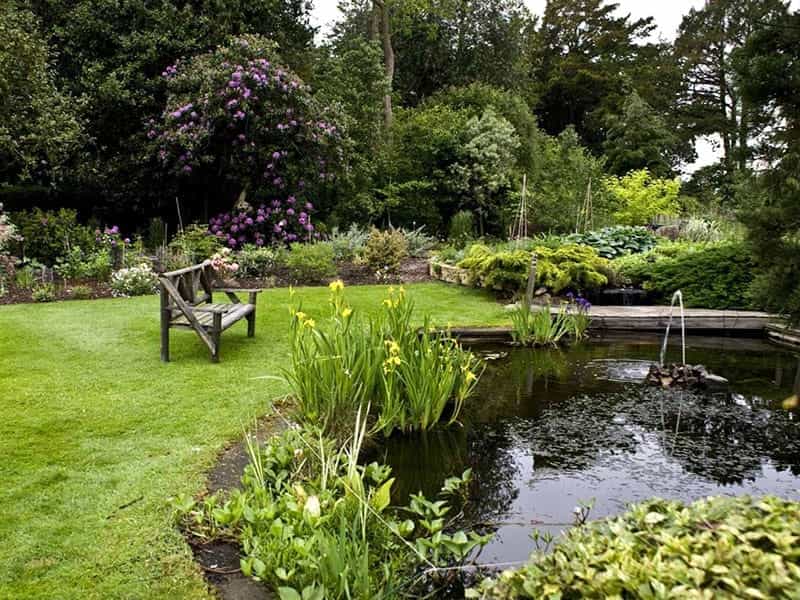 Your Guide to Growing an English Cottage Garden in the West - Sunset