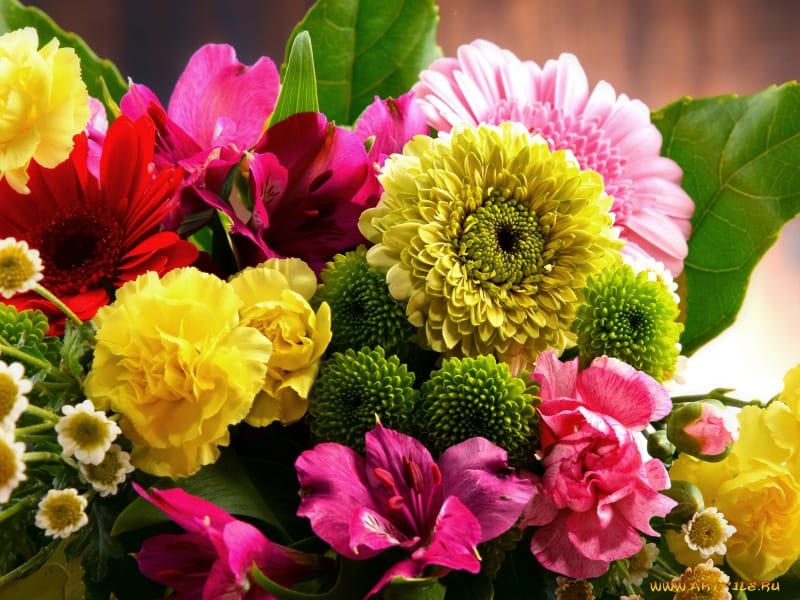 flowerbouquet #flower #bouquet #gifts #flowerslovers #flowerdreamer  #flowerarrangment #einrichten #h… - Flowers bouquet, Flowers bouquet gift,  Small flower bouquet