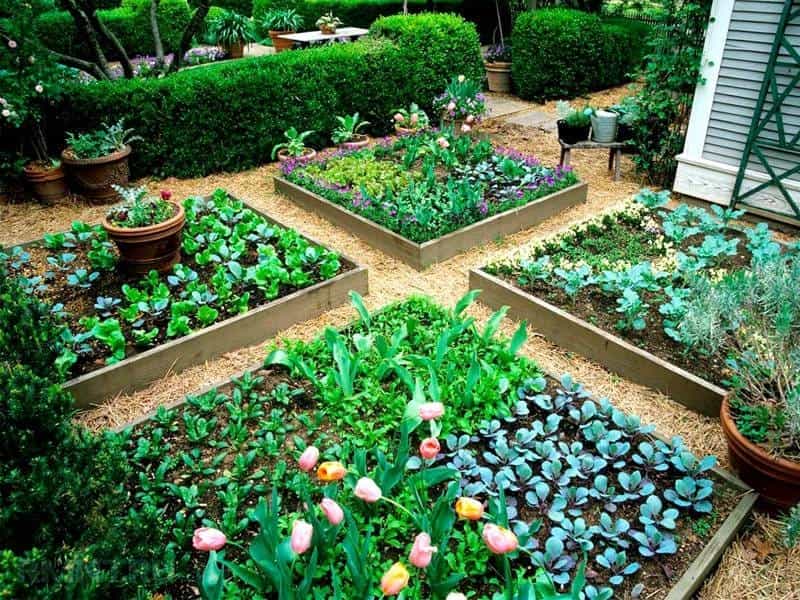 front garden ideas - Livingetc