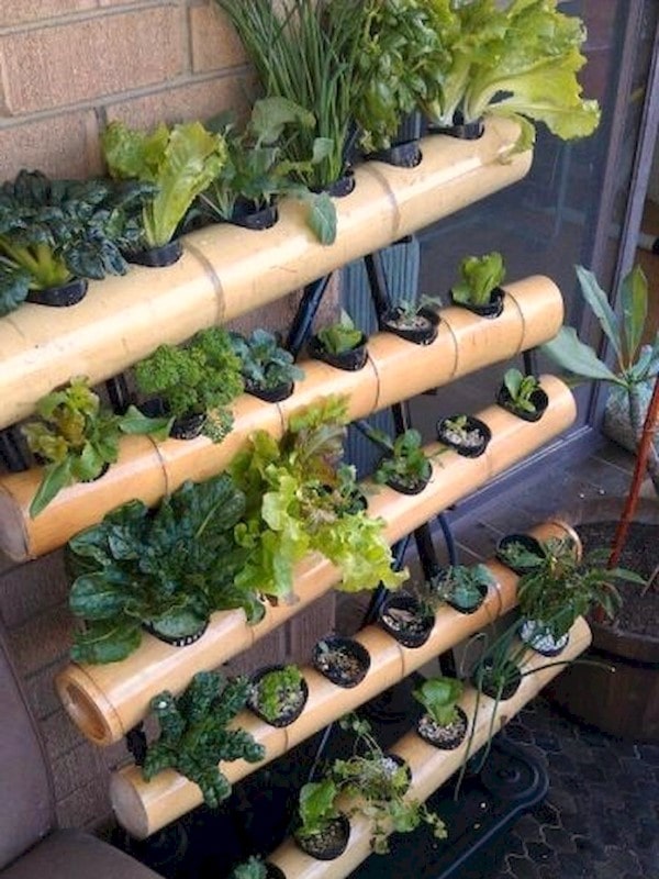 Hydroponic Gardening