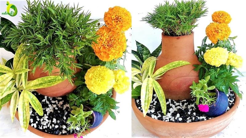 Potted Plant Arrangement Ideas