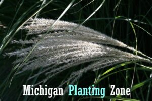 Michigan planting zone